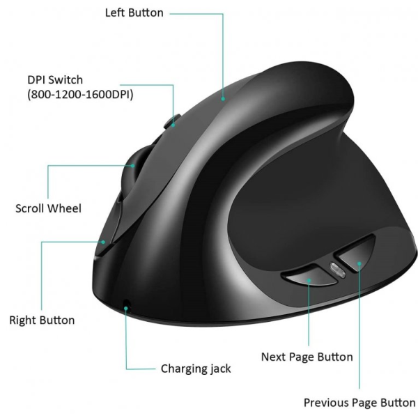 Kenson vertical mouse comfi 2 kablet usb - Bilde 4